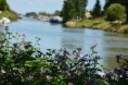 /album/photographfeerique/bateau-fleur-abeille-jpg/